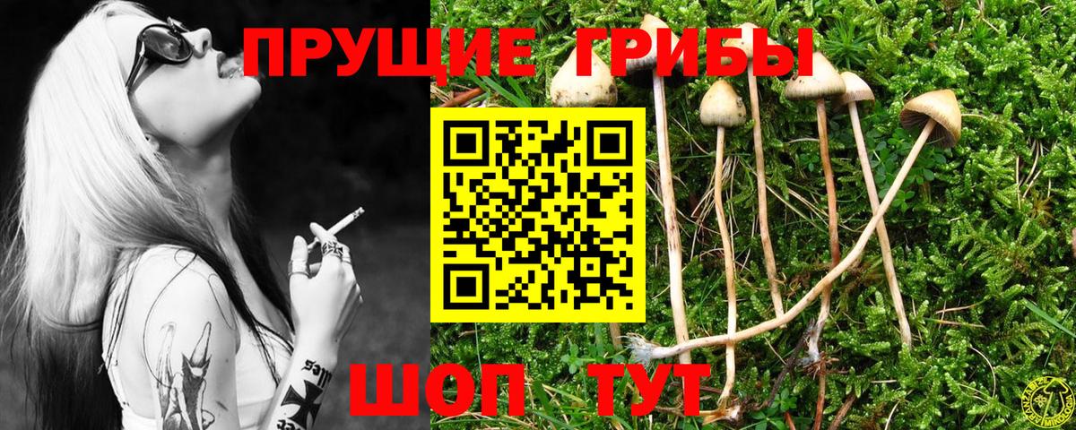 Псилоцибиновые грибы мухоморы  Вход с VPN  Галлюциногенные грибы Magic Shrooms  Советская Гавань 